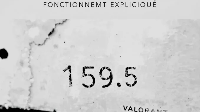 decryptage-du-sensi-